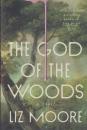 The God of the Woods (A Novel)