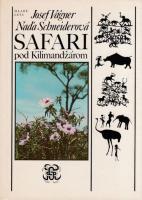 Safari pod Kilimandžárom