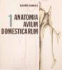 Anatomia Avium Domesticarum 1