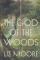 The God of the Woods (A Novel)