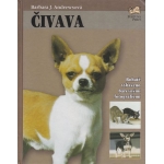 civava andrewsova
