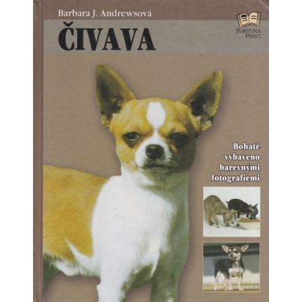 civava andrewsova