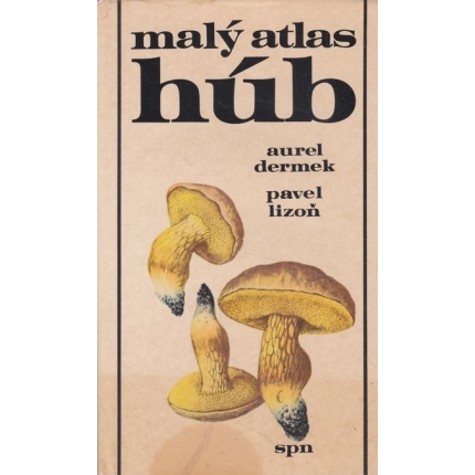 maly atlas hub dermek lizon