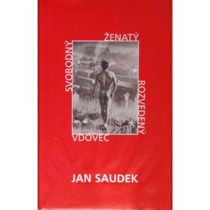 Svobodný, ženatý, rozvedený, vdovec