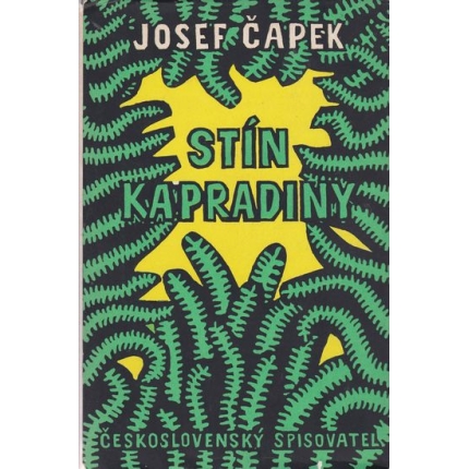 Stín kapradiny