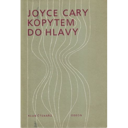 Kopytem do hlavy