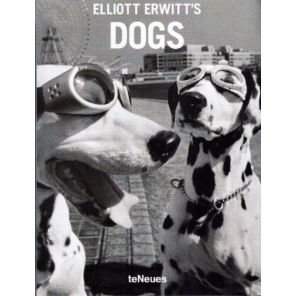 dogs elliott erwitt