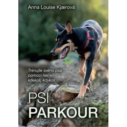 psi parkour anna louise kjaerova