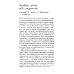Buněčný cyklus mikroorganismů – Obrázok 2