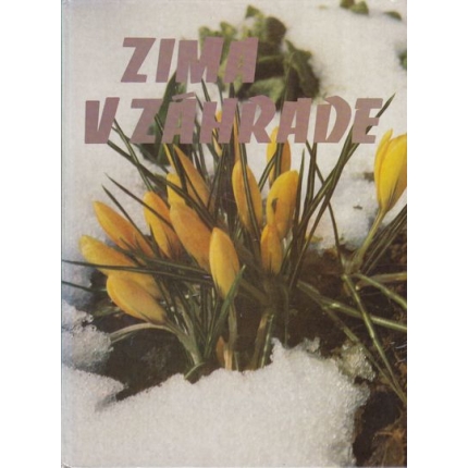 zima v zahrade priroda 1983